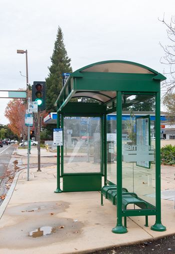 Numerous bus stops on block